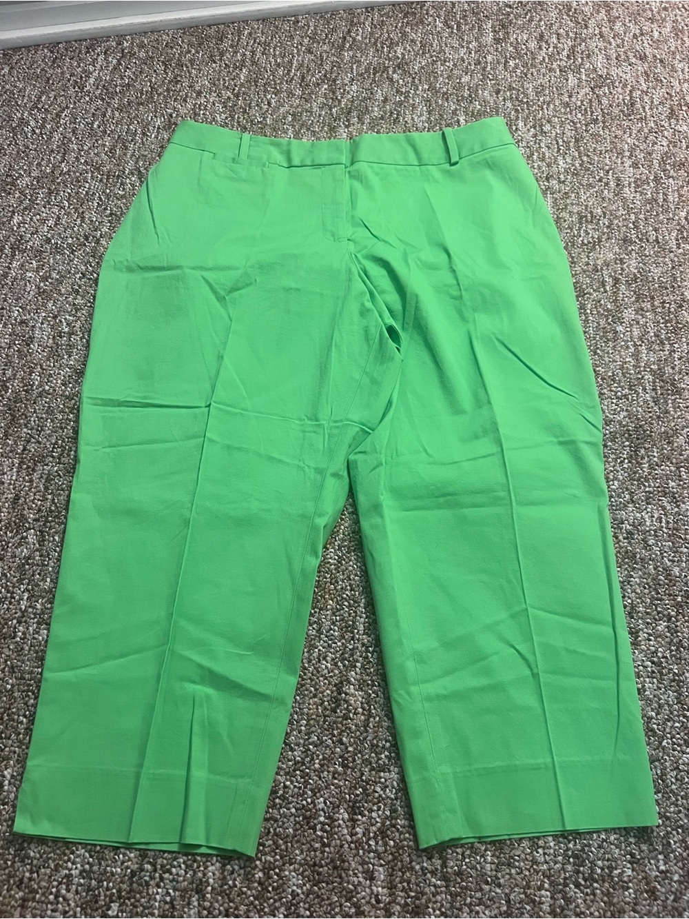 Talbots Women’s Green Business Casual Heritage Fit Cropped Pants Size 18WP New